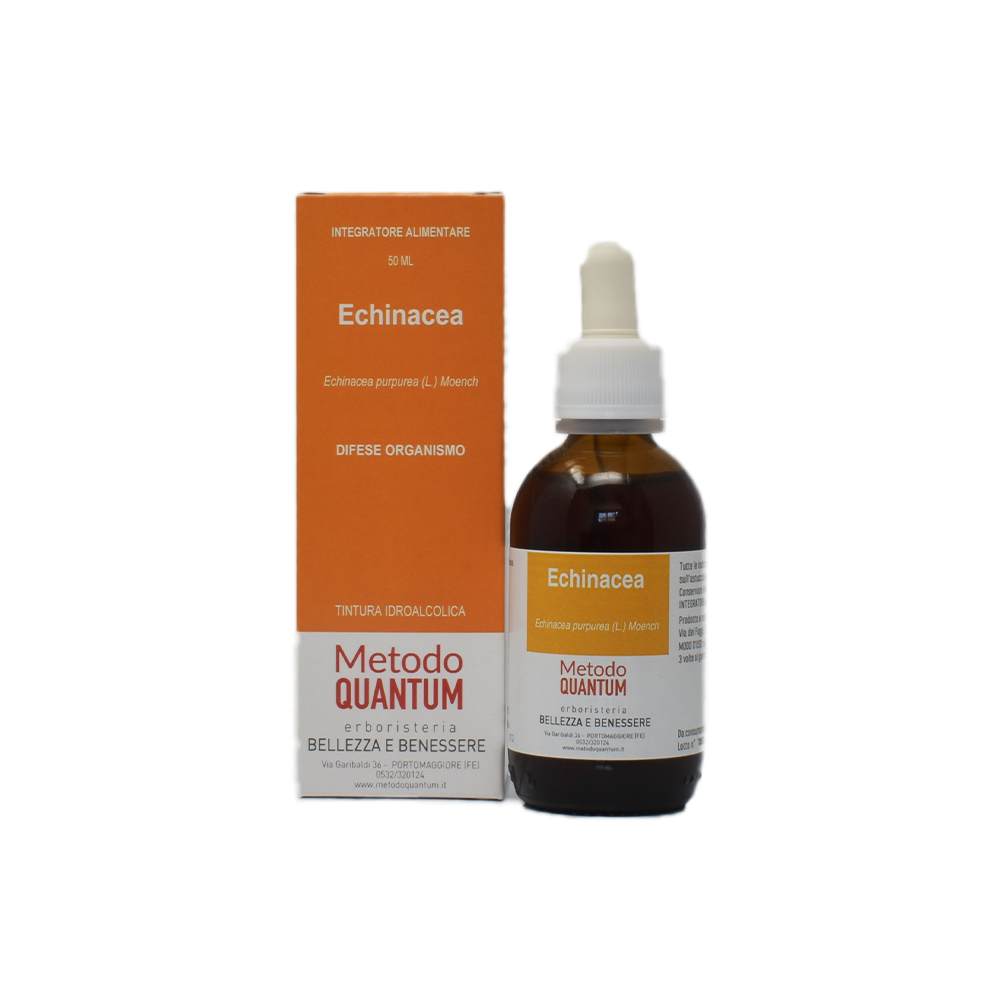 echinacea 1