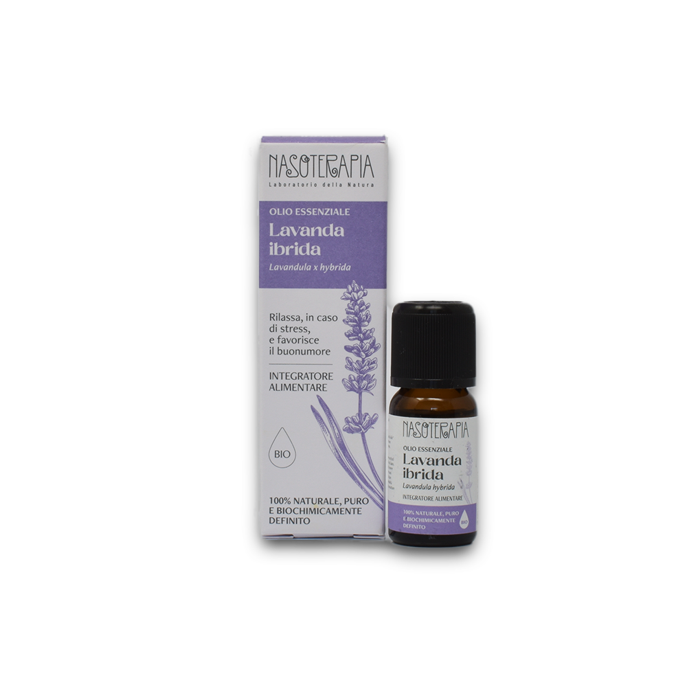 lavanda 1