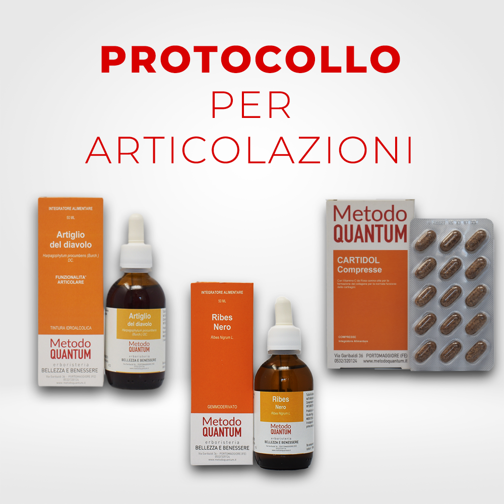 ARTICOLAZIONIpng